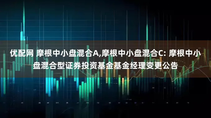 优配网 摩根中小盘混合A,摩根中小盘混合C: 摩根中小盘混合型证券投资基金基金经理变更公告