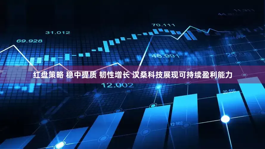 红盘策略 稳中提质 韧性增长 汉桑科技展现可持续盈利能力