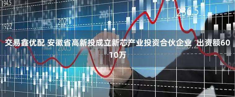 交易鑫优配 安徽省高新投成立新芯产业投资合伙企业  出资额6010万